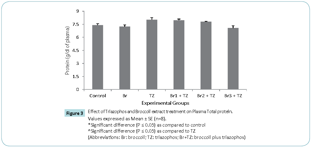 Biomedical-Sciences-Effect-Triazophos-Broccoli-extract-treatment-Plasma-Total-protein