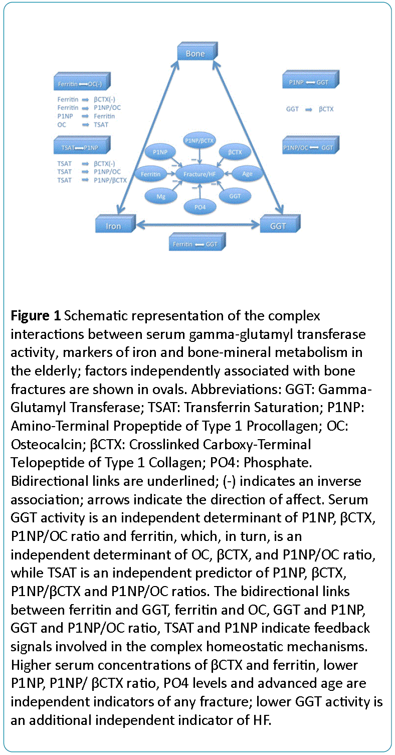 Biomedical-Sciences-Schematic-representation-complex-interactions
