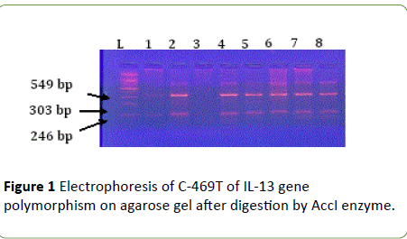 Biomedical-Sciences-agarose-gel