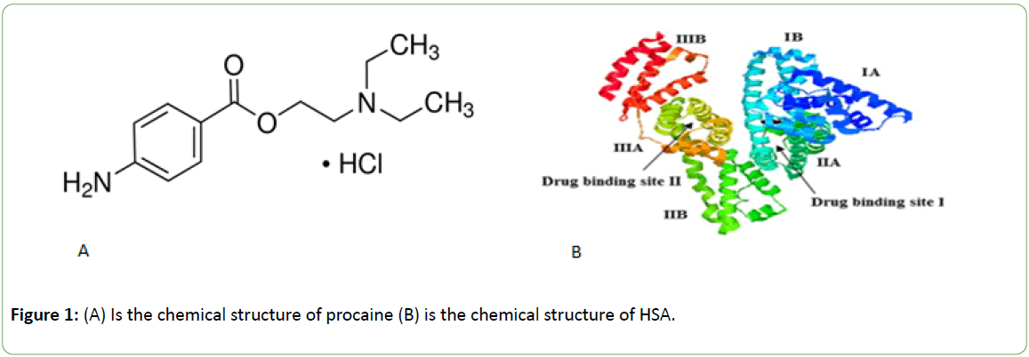 Biomedical-Sciences-chemical-structure