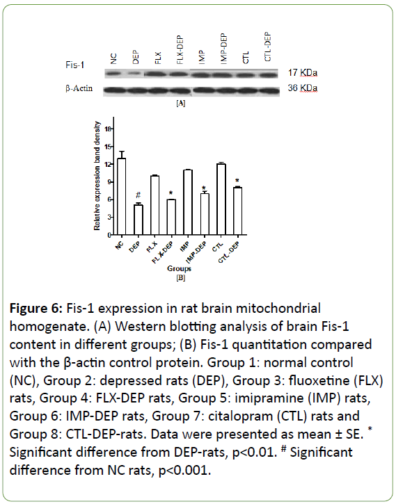 Biomedical-Sciences-depressed-rats