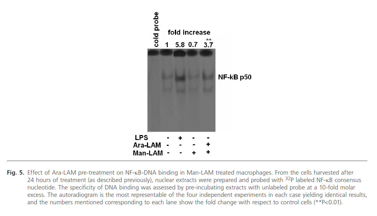 Biomedical-Sciences-kinase-activity