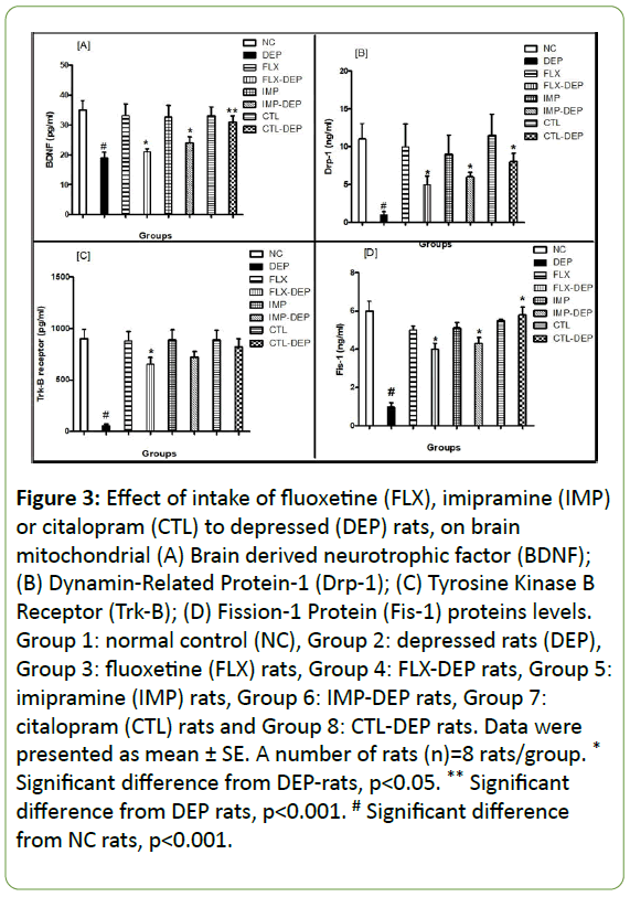 Biomedical-Sciences-neurotrophic-factor