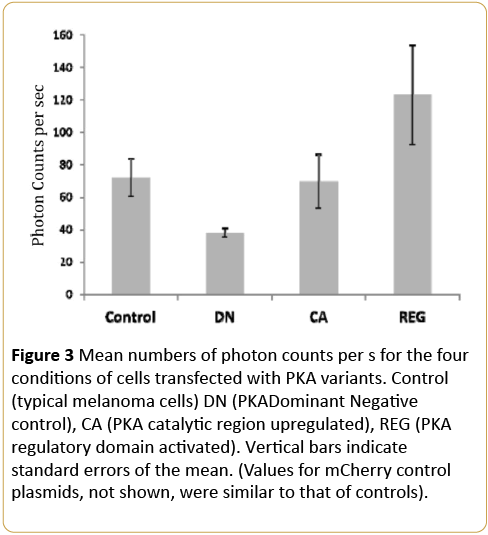 Cancer-Research-Mean-numbers-photon-counts