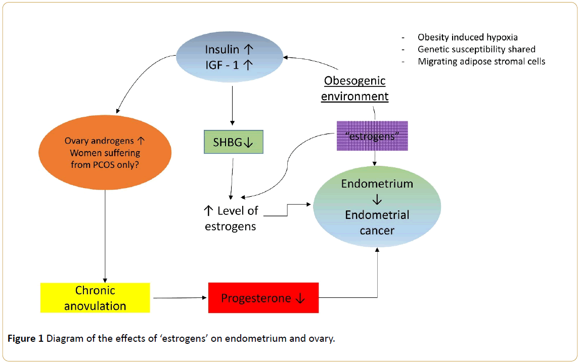 Cancer-Research-estrogens-endometrium-ovary