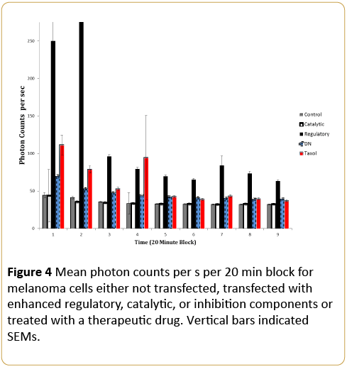 Cancer-Research-melanoma-cells-transfected