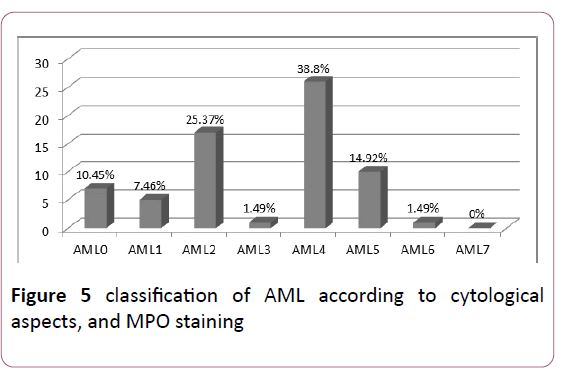 Clinical-Laboratory-MPO-staining