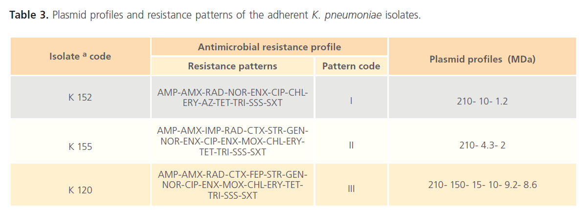 Clinical-Microbiology-Plasmid-profiles