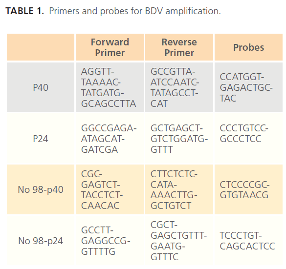 Clinical-Microbiology-Primers-probes