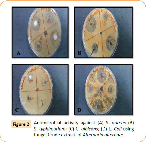 Clinical-Microbiology-activity-against