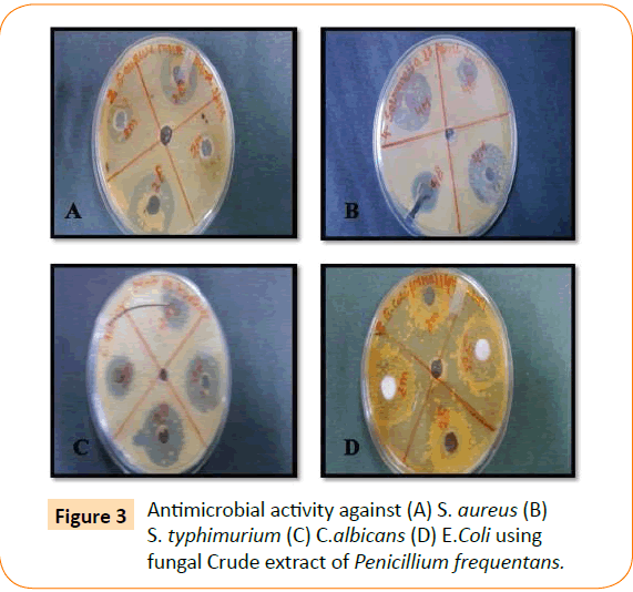 Clinical-Microbiology-activity-against