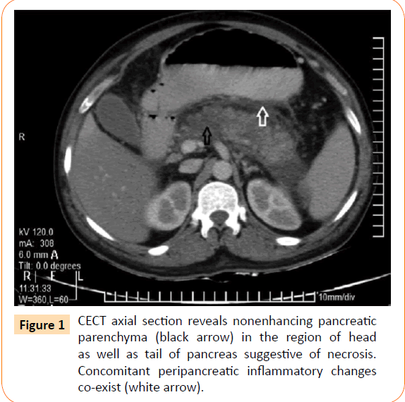 Clinical-Microbiology-axial-section