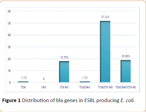 Clinical-Microbiology-bla-genes