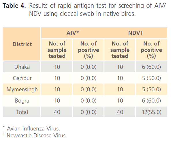 Clinical-Microbiology-cloacal-swab