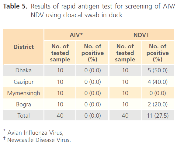 Clinical-Microbiology-cloacal-swab