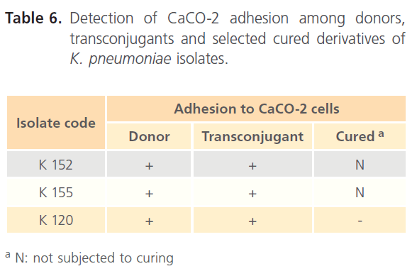 Clinical-Microbiology-cured-derivatives