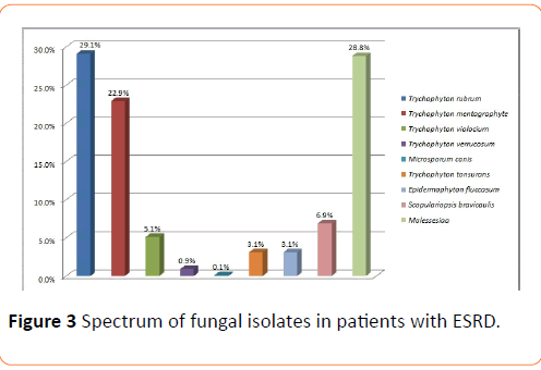 Clinical-Microbiology-fungal-isolates