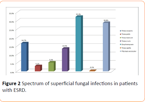 Clinical-Microbiology-superficial-fungal