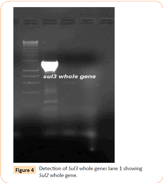 Clinical-Microbiology-whole-gene