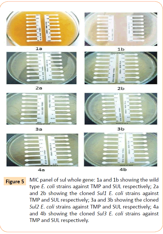 Clinical-Microbiology-whole-gene