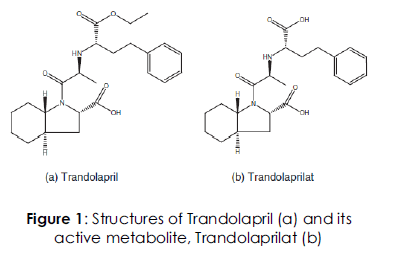 Drug-Delivery-Trandolapril