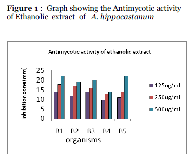 Drug-Development-Antimycotic