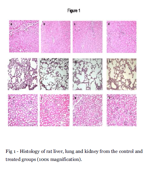 Drug-Development-Histology-liver