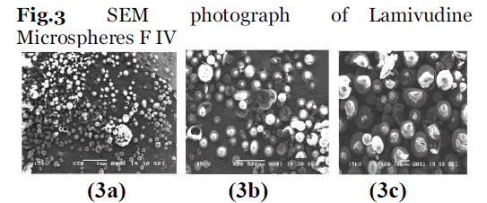 Drug-Development-Lamivudine-Microspheres