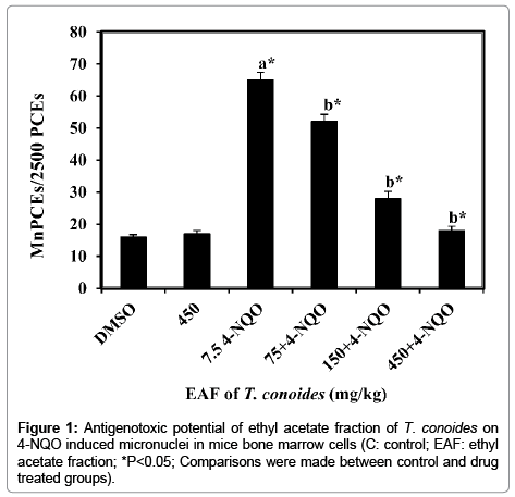 Drug-Development-Research-Antigenotoxic-potential
