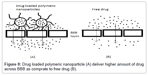 Drug-Development-Research-Drug-loaded-polymeric-nanoparticle