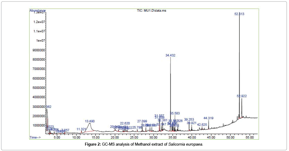 Drug-Development-Research-GC-MS-analysis