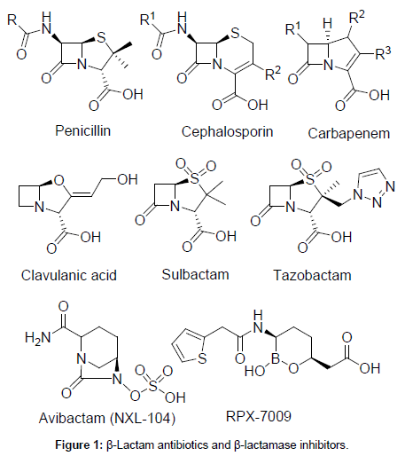 Drug-Development-Research-Lactam-antibiotics