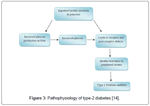 Drug-Development-Research-Pathophysiology