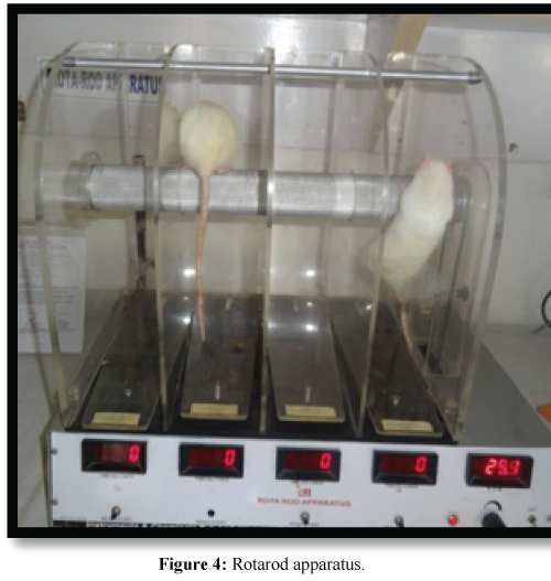 Drug-Development-Research-Rotarod-apparatus