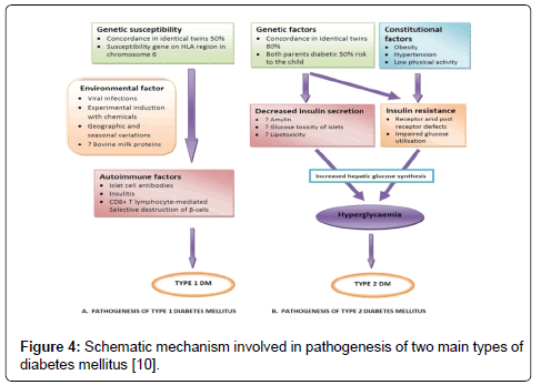 Drug-Development-Research-Schematic-mechanism-pathogenesis