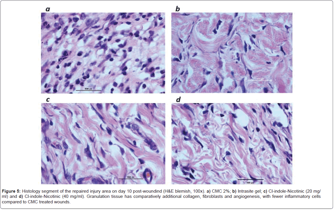 Drug-Development-Research-additional-collagen