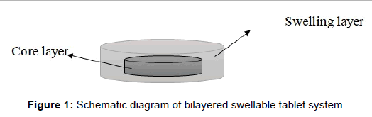 Drug-Development-Research-bilayered-swellable