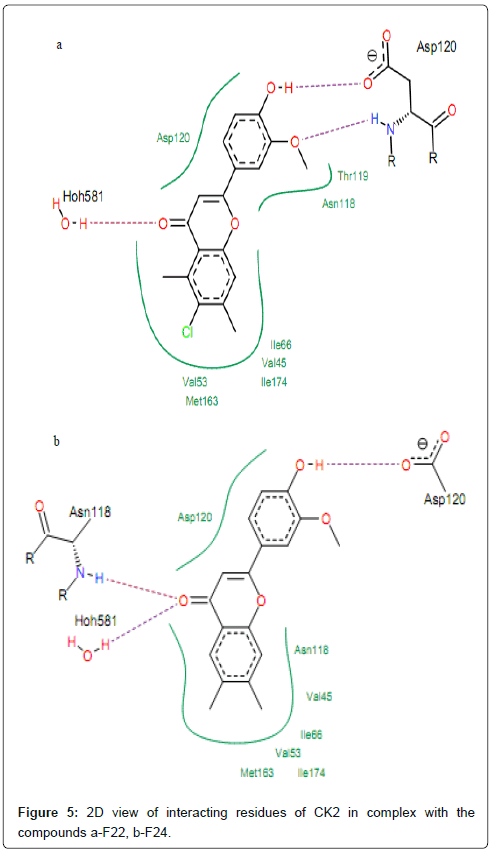 Drug-Development-Research-compounds
