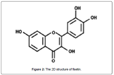Drug-Development-Research-fisetin
