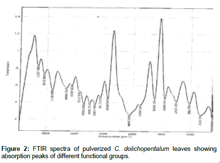 Drug-Development-Research-functional-groups