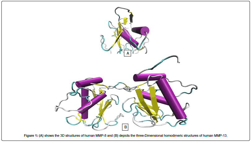 Drug-Development-Research-homodimeric