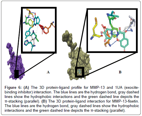 Drug-Development-Research-hydrogen-bond