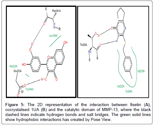 Drug-Development-Research-interaction