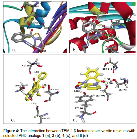 Drug-Development-Research-lactamase-active