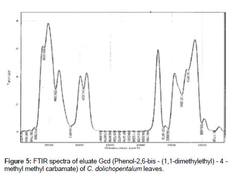 Drug-Development-Research-methyl-methyl-carbamate