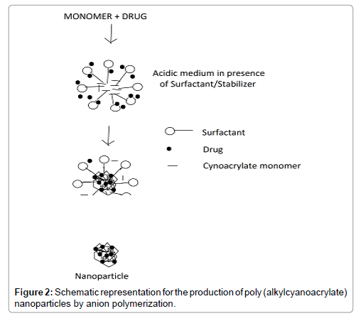Drug-Development-Research-production-poly-nanoparticles-anion-polymerization