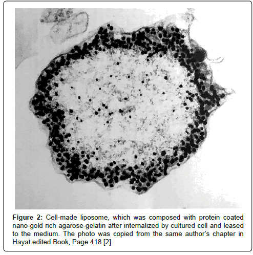 Drug-Development-Research-protein-coated