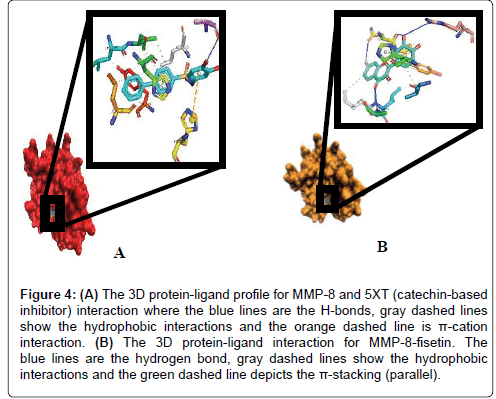 Drug-Development-Research-protein-ligand