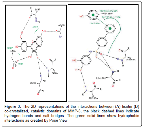 Drug-Development-Research-representations