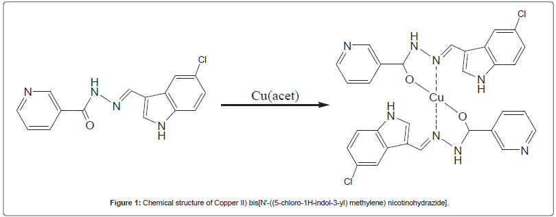 Drug-Development-Research-structure